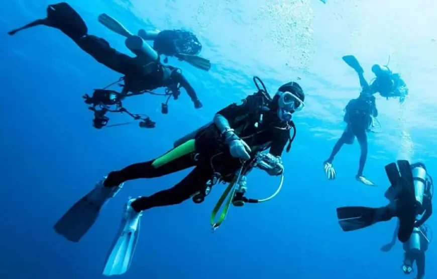 Scuba Diving In Bali – Benoa Beach