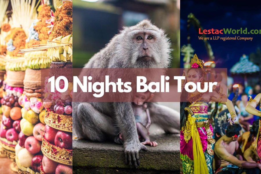 Collage of Balinese offering, Monkey Forest, and Balinese tradition dance