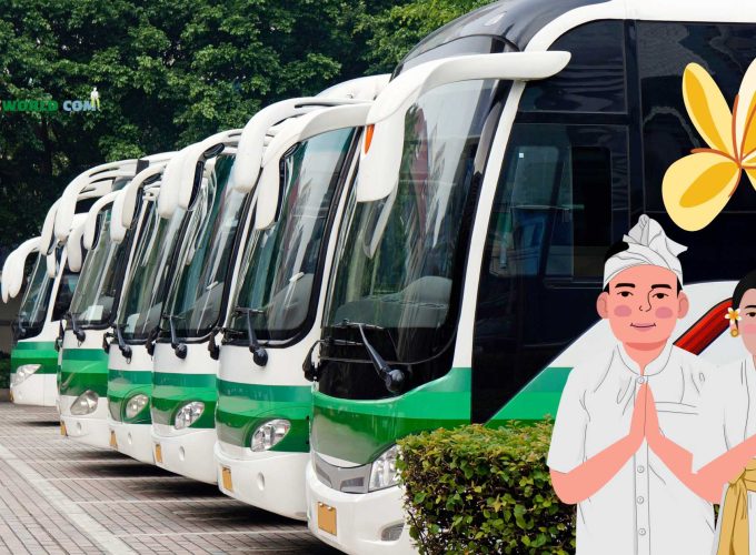 Buses waiting for Bali group tours