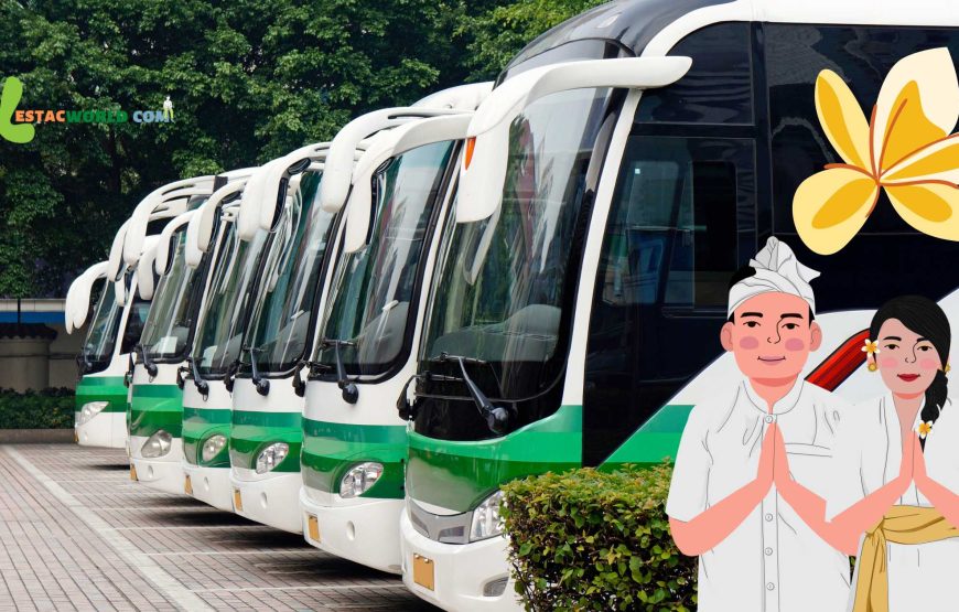 6 nights Bali package for a group