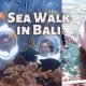 Underwater Sea Walk in Bali