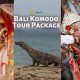 Bali Komodo Tour package