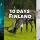 10 days Finland tour package