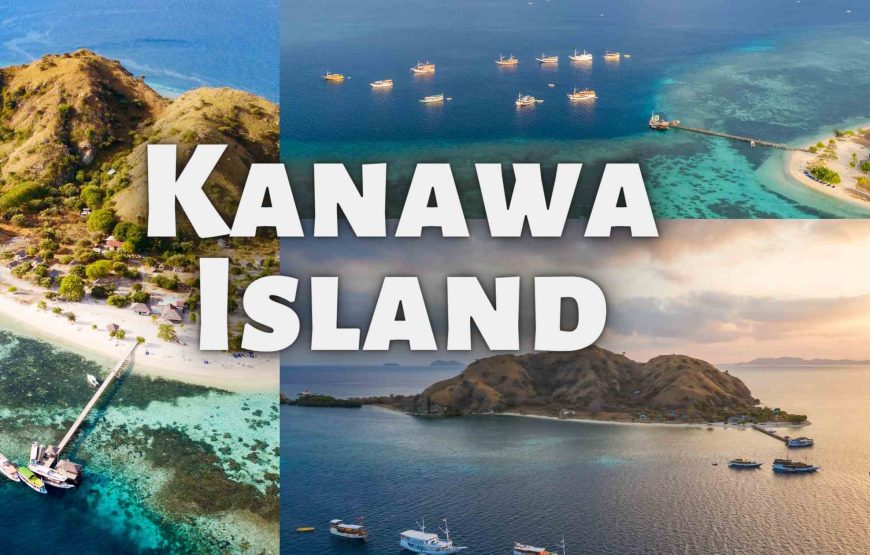 Komodo Island 1 day tour