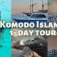 Komodo Island 1 day tour