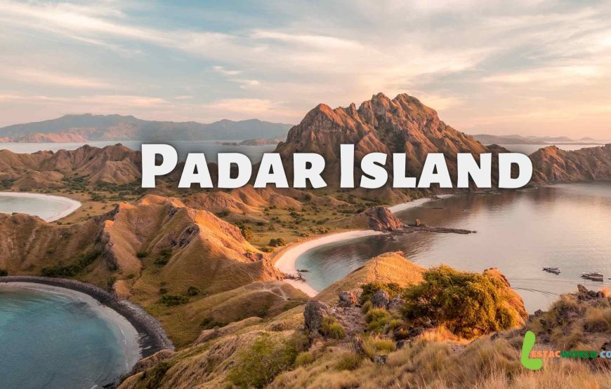 Komodo Island 1 day tour