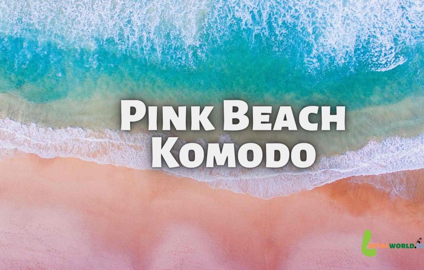 Komodo Island 1 day tour