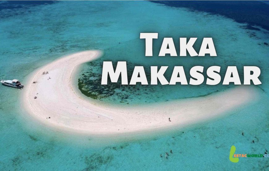 Komodo Island 1 day tour