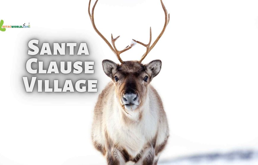 Santa Clause Village tour from Rovaniemi