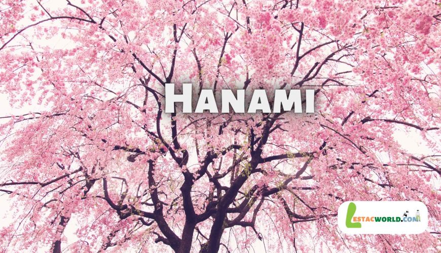 About Hanami