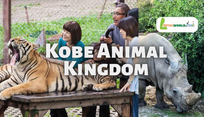 About Kobe Animal Kingdom