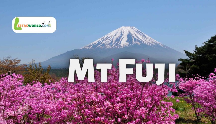 The image showcases the majestic snow-capped peak of Mt Fuji rising above the surrounding landscape. The clear blue skies provide a stunning backdrop to this iconic natural wonder and UNESCO World Heritage Site. Our Mt Fuji tour packages offer visitors the opportunity to experience the awe-inspiring beauty of the mountain, hike its trails, visit surrounding villages and lakes, and learn about the region's rich history and culture.