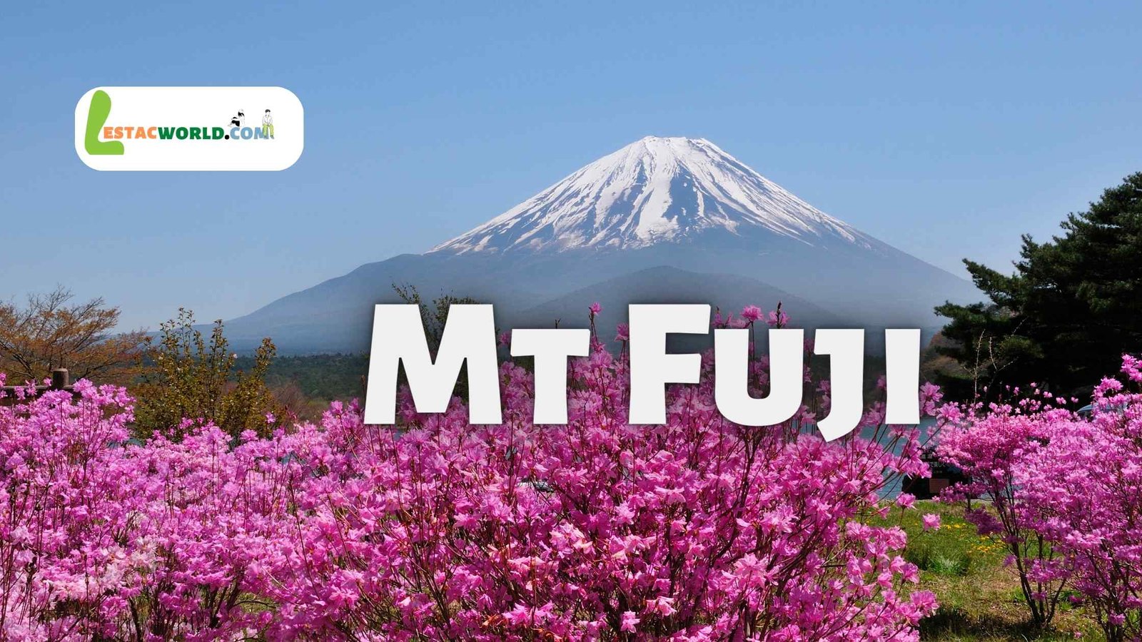 Important to know about Mt Fuji | Japan