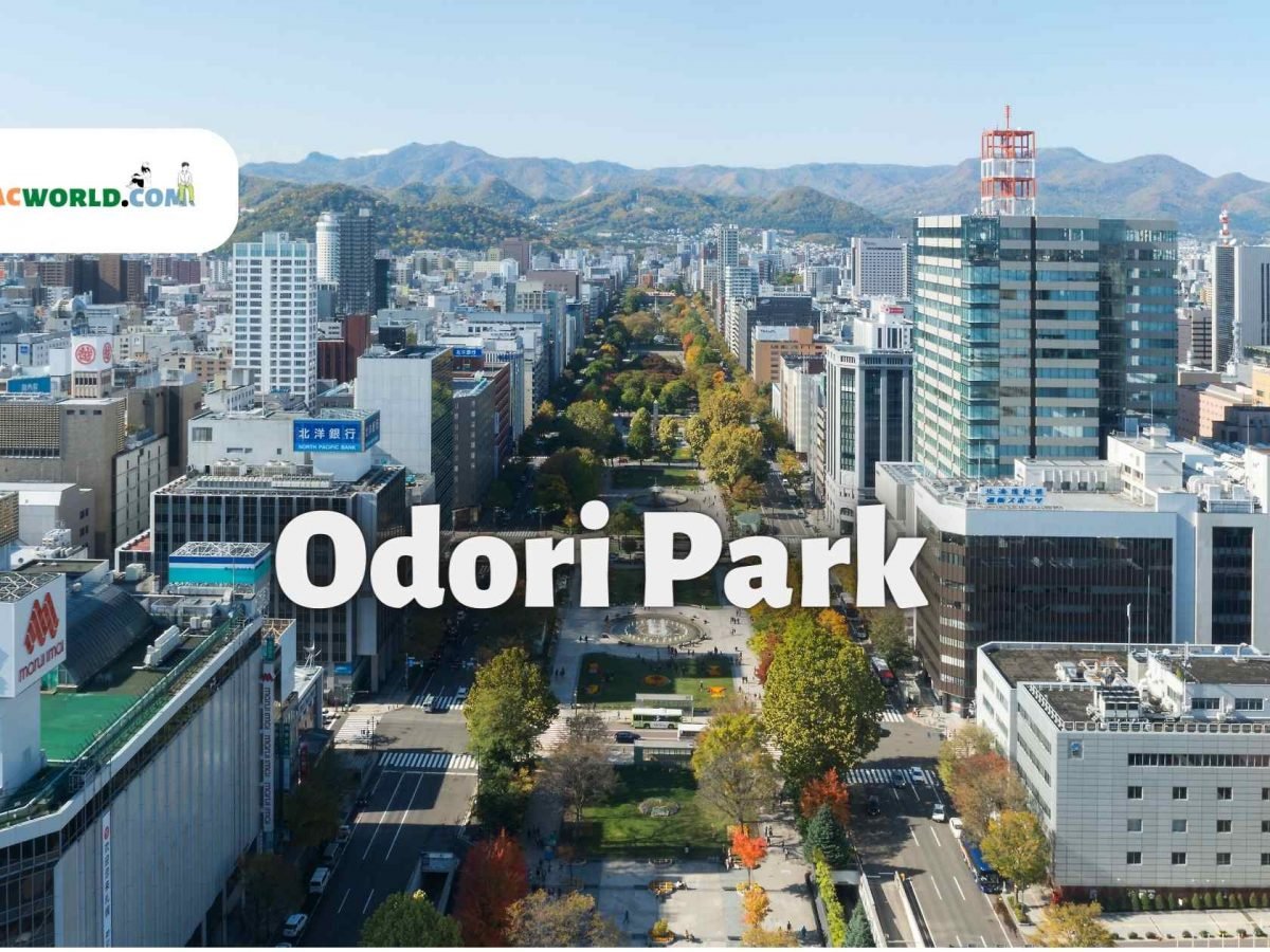 About Odori Park