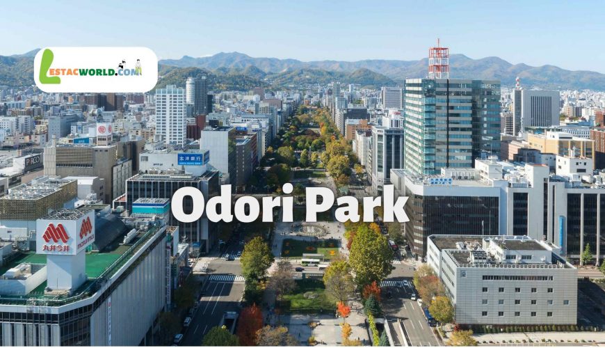 About Odori Park