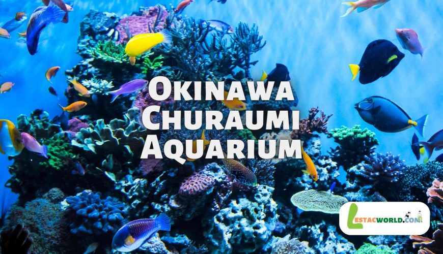About Okinawa Churaumi Aquarium