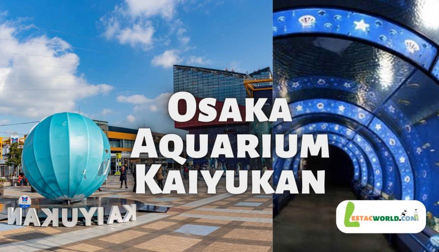 About Osaka Aquarium Kaiyukan