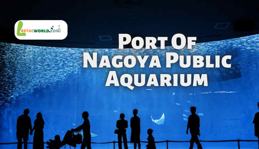 About Port Of Nagoya Public Aquarium