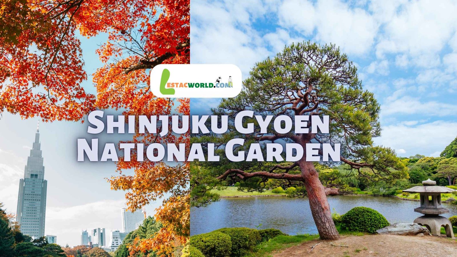 About Shinjuku Gyoen National Garden