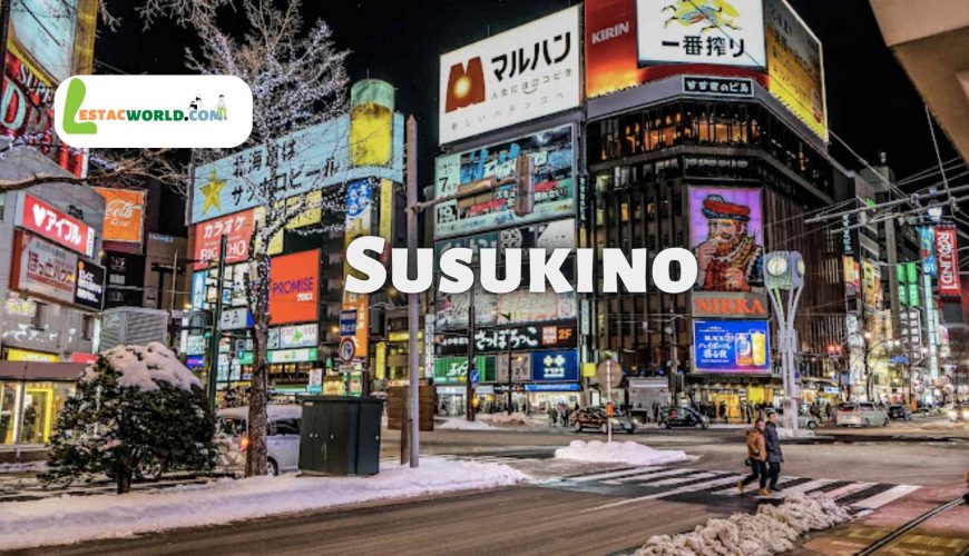 About Susukino