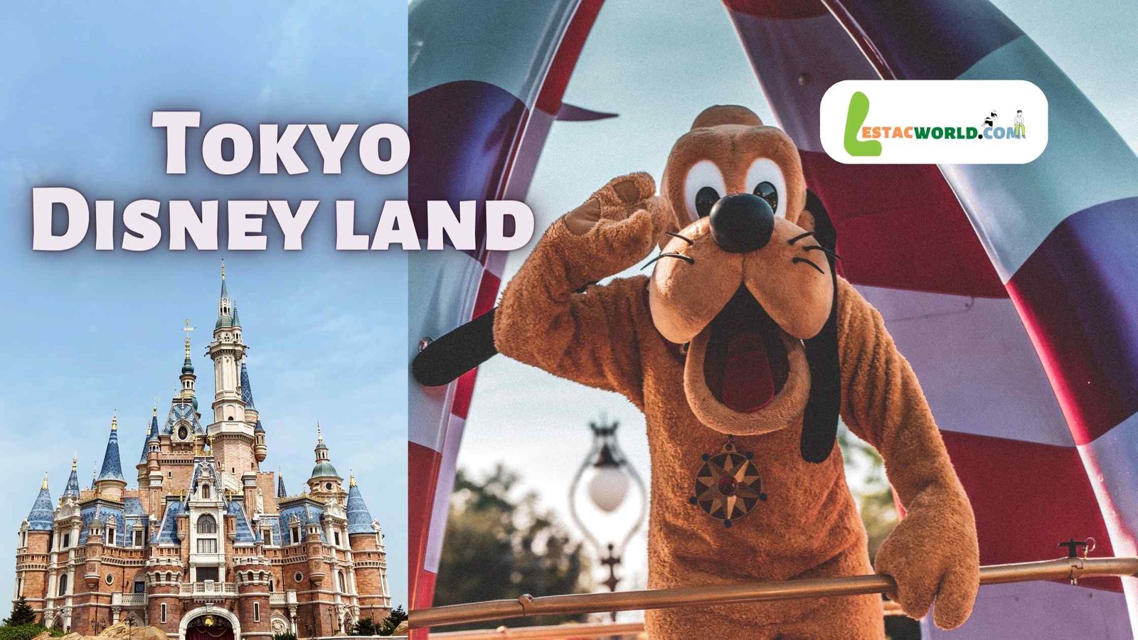 tokyo disneyland essay