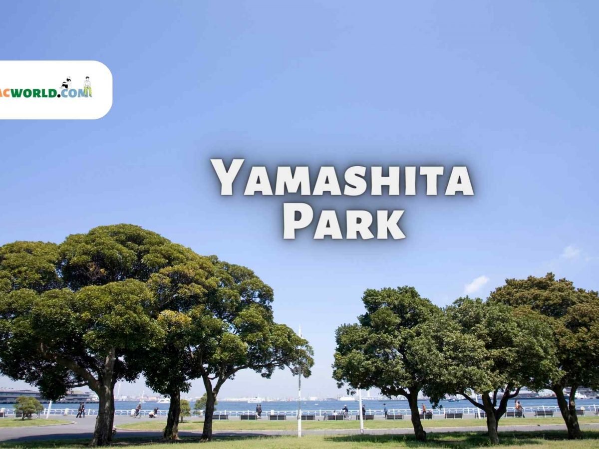 About Yamashita Park