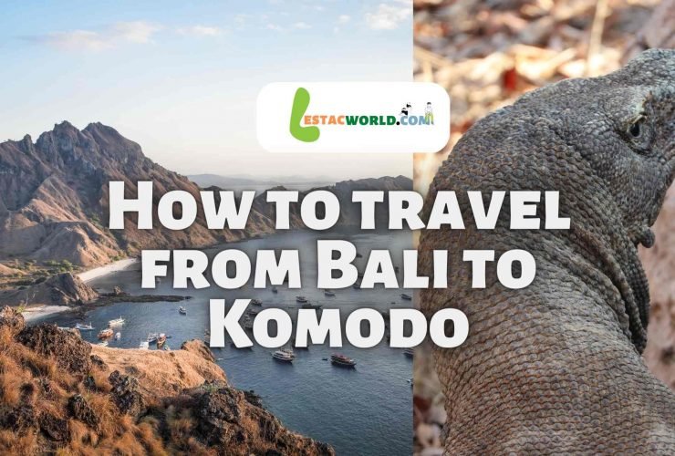How to travel from Bali to Komodo