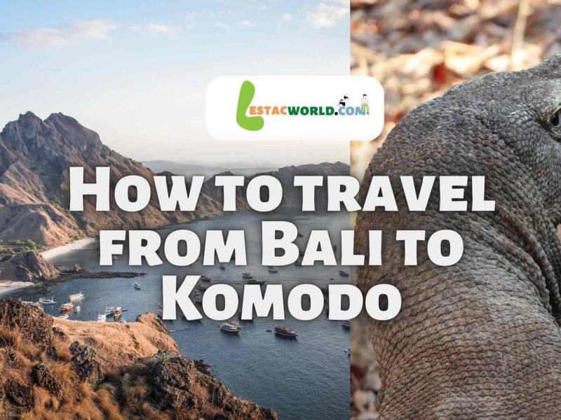 How to travel from Bali to Komodo