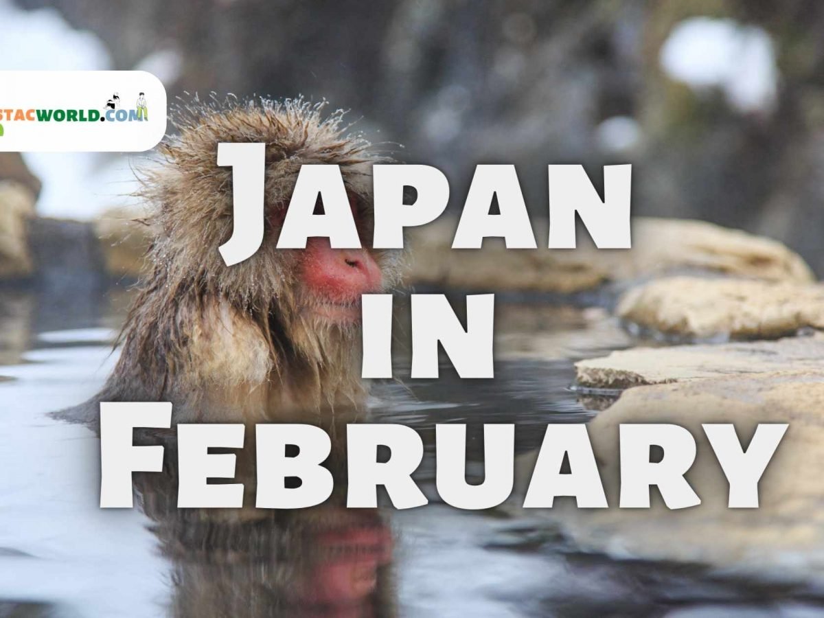 Snow monkeys soaking in a hot spring in Japan during February