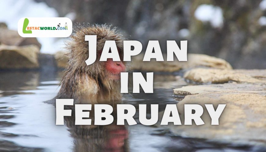 Snow monkeys soaking in a hot spring in Japan during February