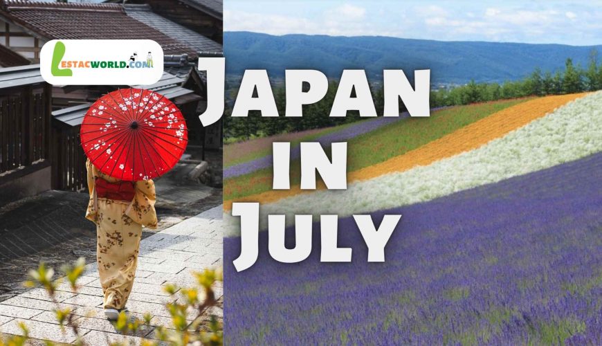 Colorful summer flowers in Japan - Is July the right time to visit?