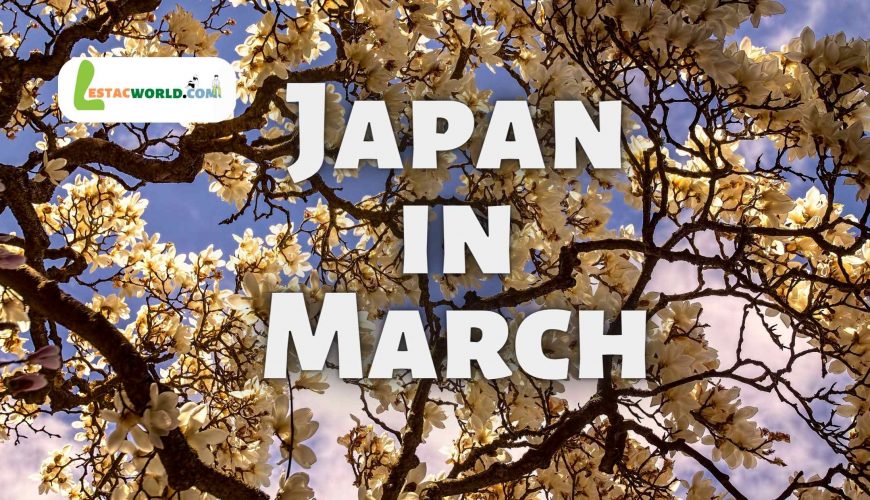 Cherry blossom trees in full bloom against a mountainous backdrop in Japan during March