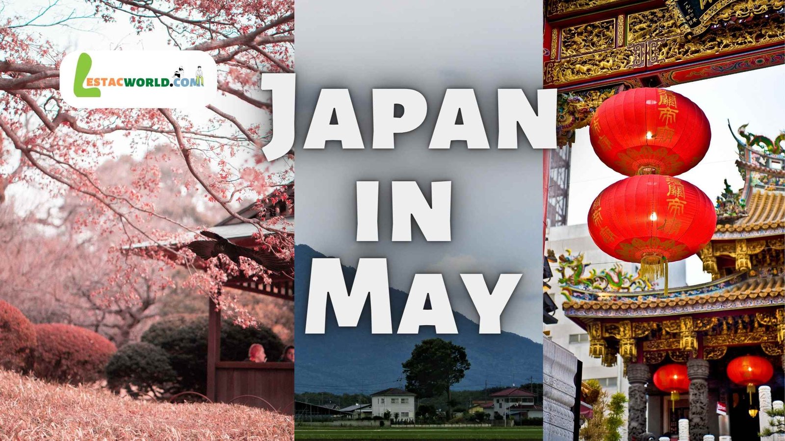 Image of a serene and picturesque Japanese mountian and houses with blooming cherry blossom , highlighting the question 'Is May the right time to visit Japan' as the perfect time to witness the country's beauty and cultural festivities.