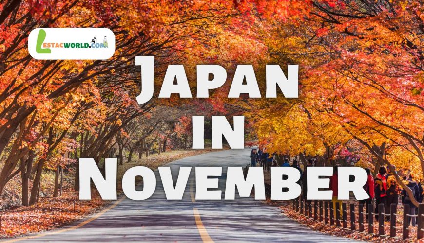 Autumn foliage in Japan during November, with trees in shades of yellow, orange, and red.