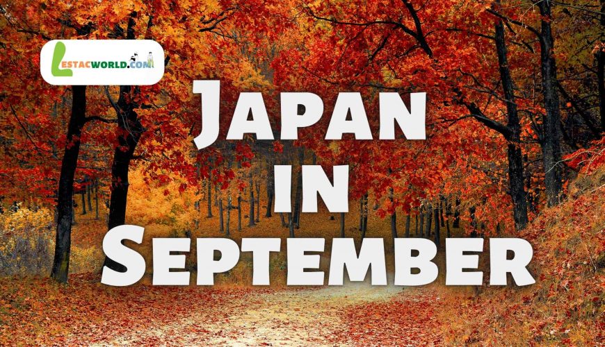 A stunning view of autumn foliage in Japan, with trees and fallen leaves in shades of red, orange, and yellow covering the ground and trees in the background. Buildings can be seen in the background, highlighting the blend of modernity and tradition in Japan.