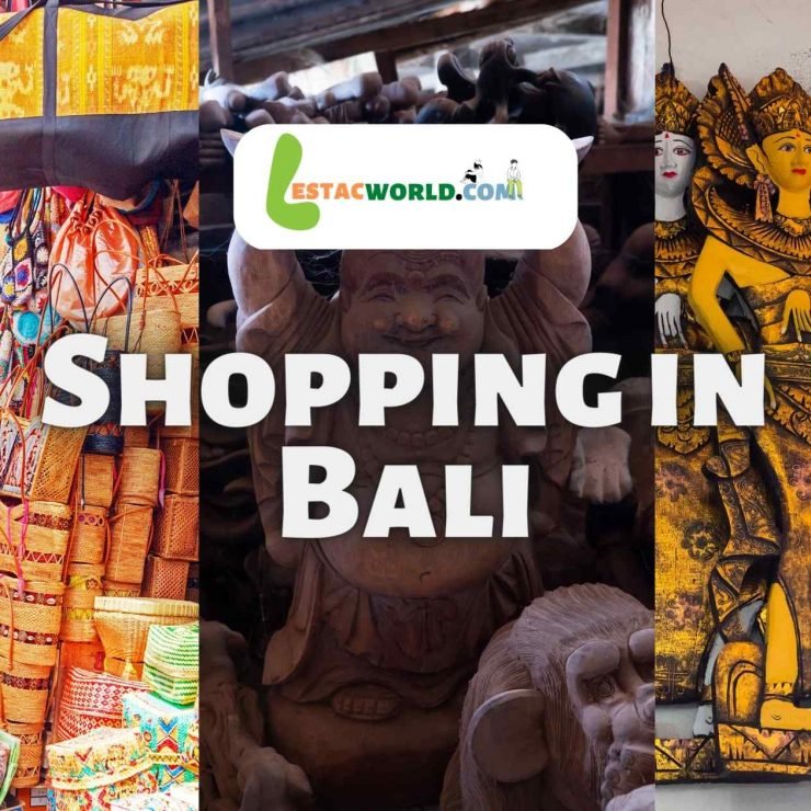 What are the things you can buy from Bali