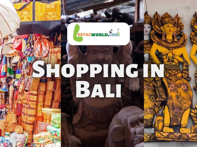 What are the things you can buy from Bali
