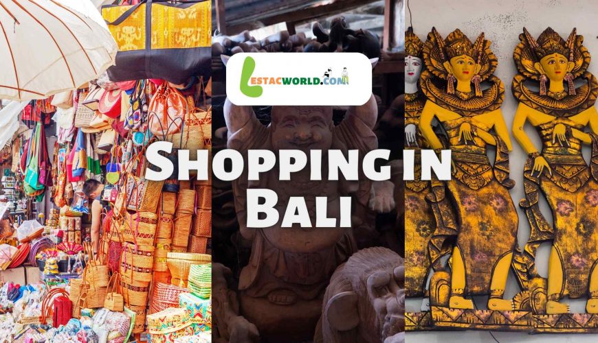 What are the things you can buy from Bali