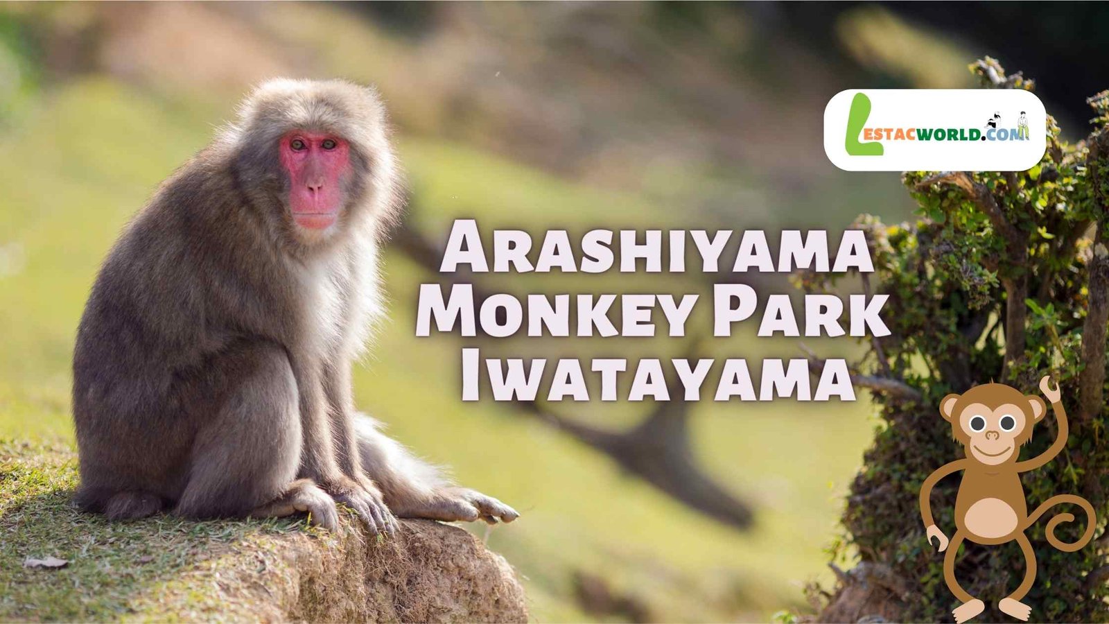 about Arashiyama Monkey Park Iwatayama