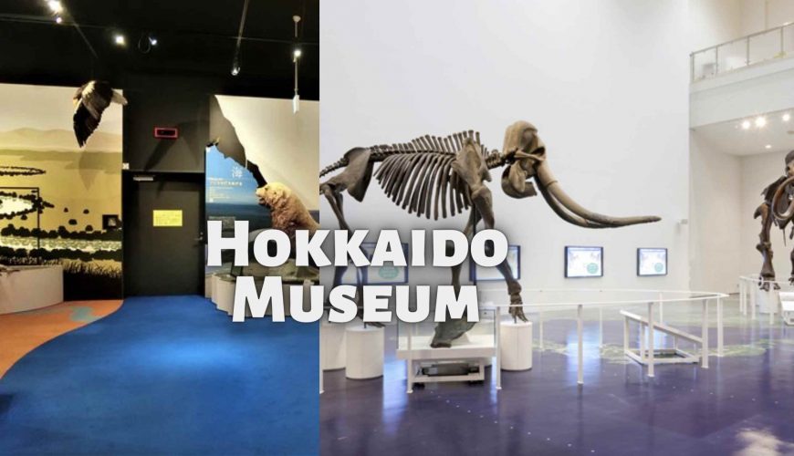 about Hokkaido Museum