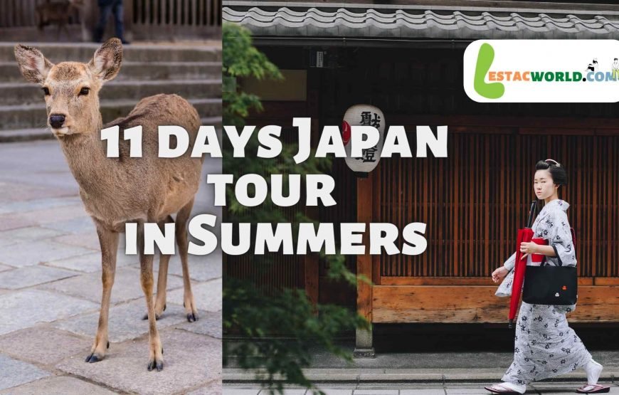 Stunning 11 days Japan tour package in Summers