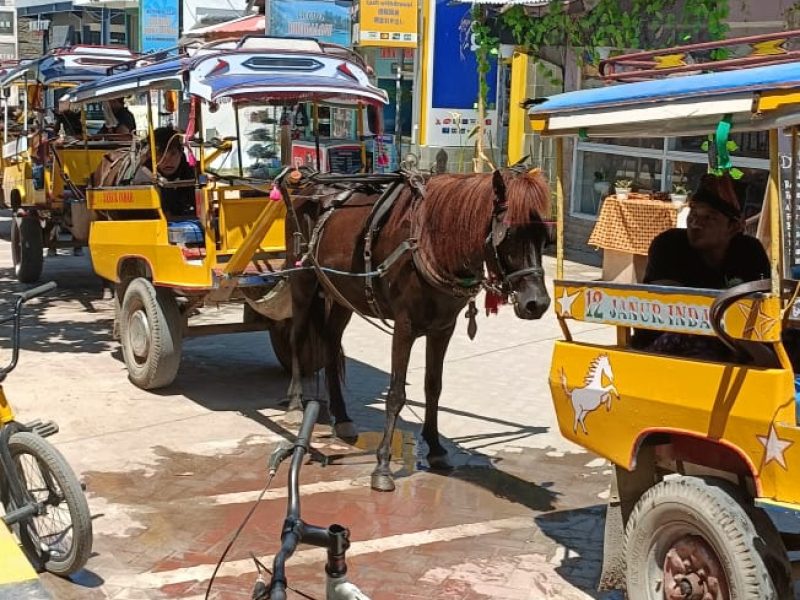 Horse carts at Gili Trawangan