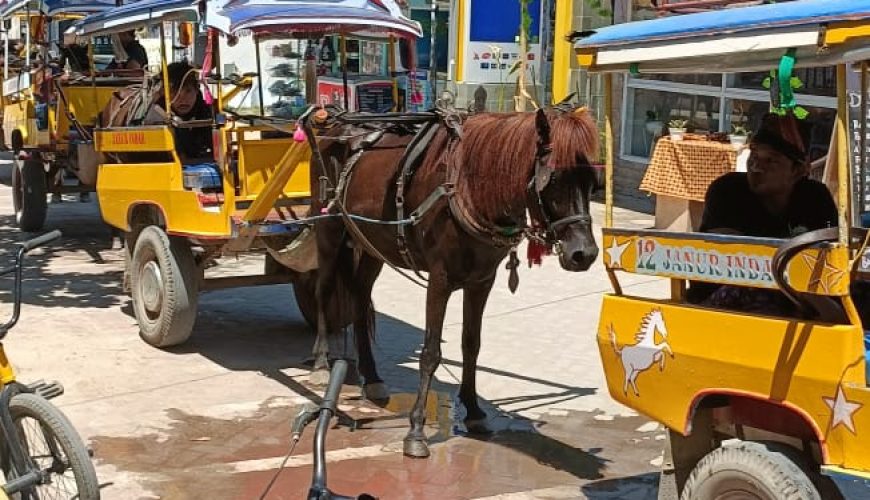 Horse carts at Gili Trawangan