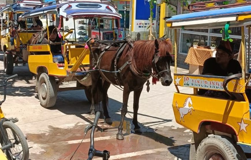 8 Nights Tour package of Bali