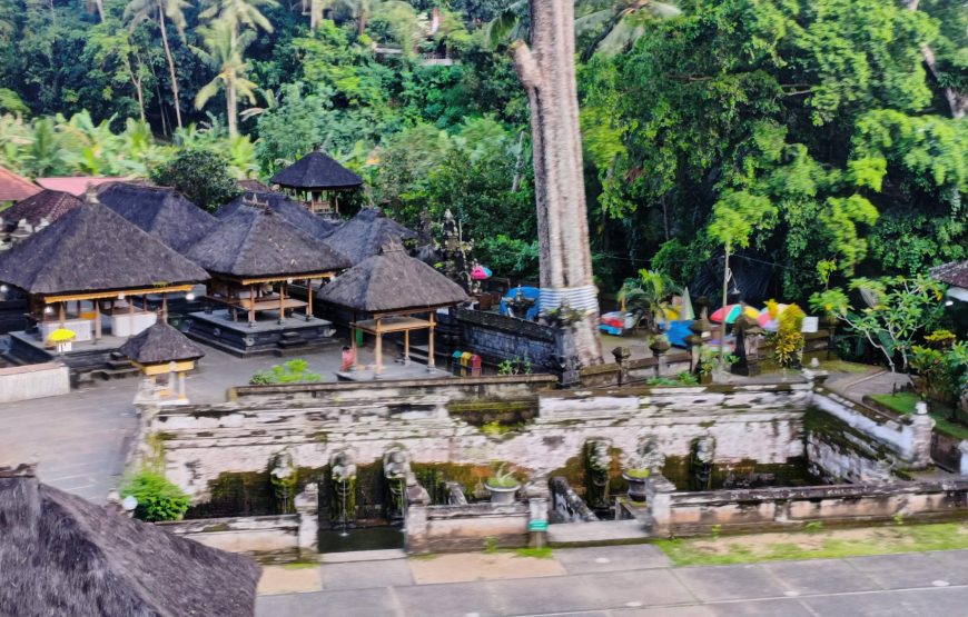 Best 8 nights 7 days Bali package for group
