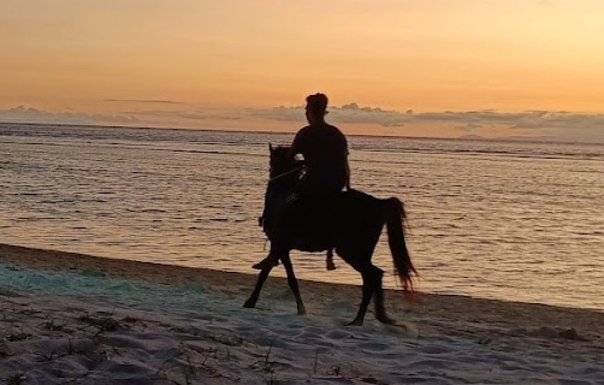 8 Nights Tour package of Bali