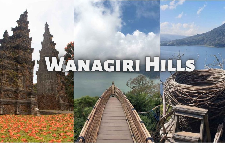 11 nights 12 days Bali tour package with Nusa Penida