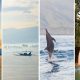 A collage of Lovina Beach tour highlights - dolphins playing in the ocean, a traditional boat, and the beautiful black sand beach.
