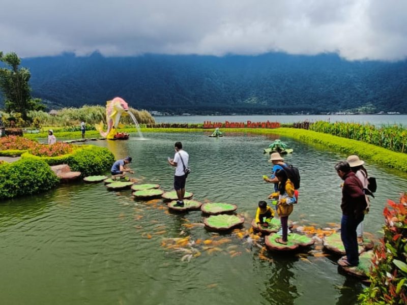 Fishes in Pond at Ulundanu Beratan temple