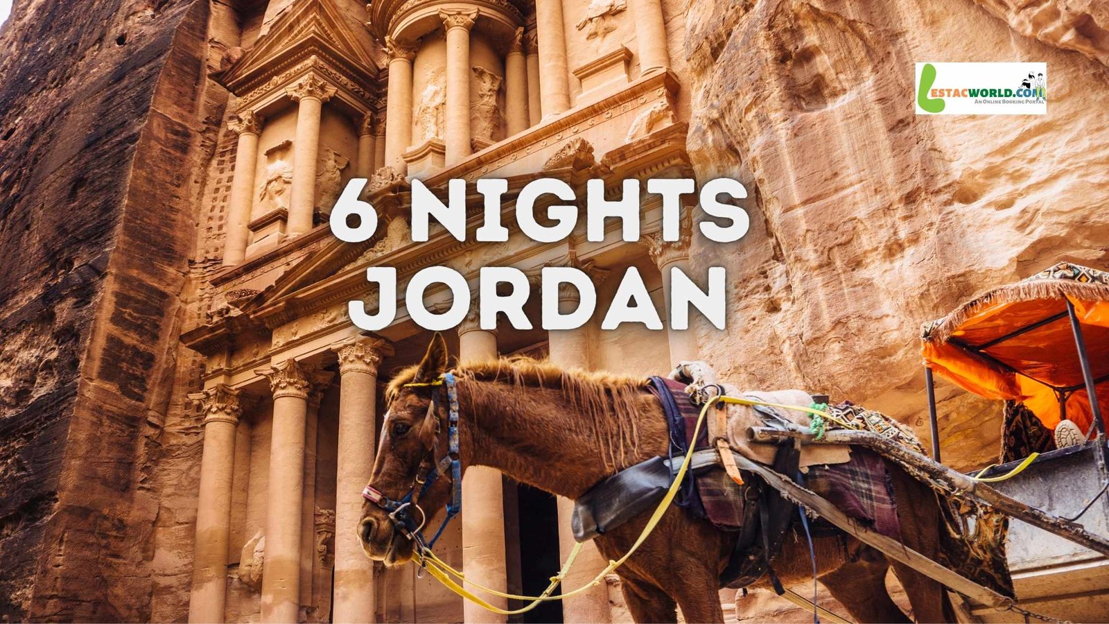 7 day tour jordan